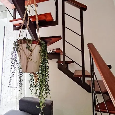 Sunny House Appartement